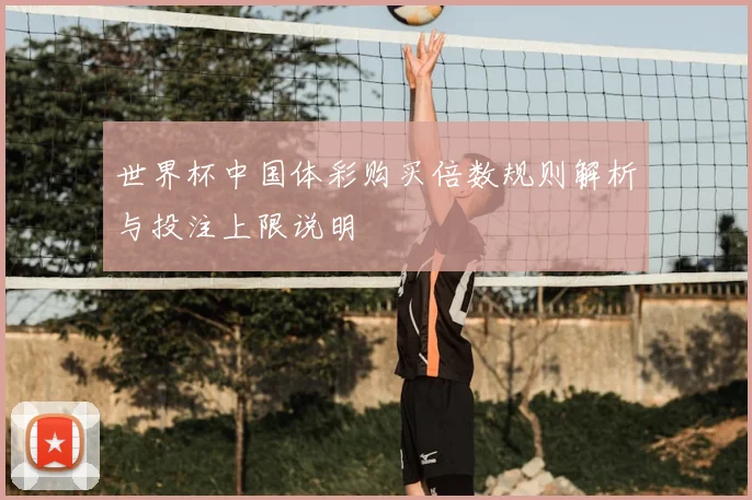 世界杯中国体彩购买倍数规则解析与投注上限说明