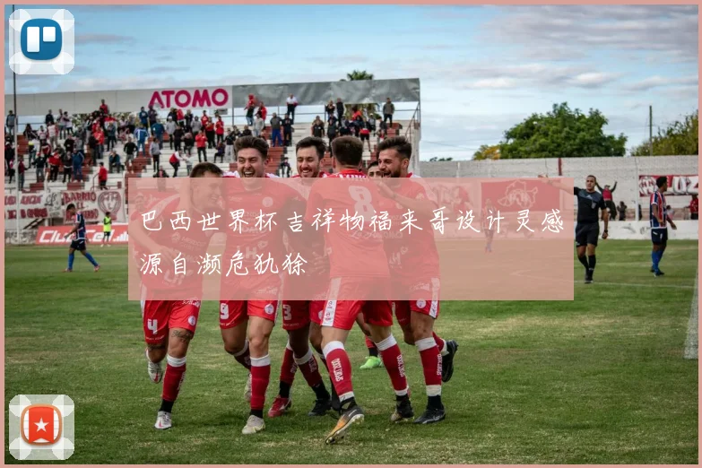 巴西世界杯吉祥物福来哥设计灵感源自濒危犰狳