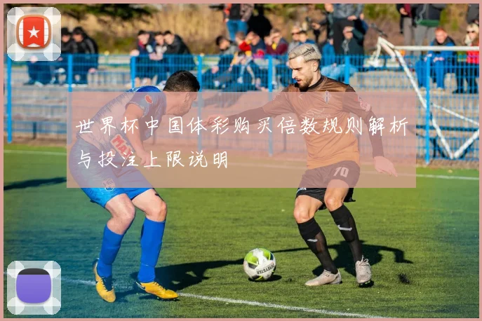 世界杯中国体彩购买倍数规则解析与投注上限说明