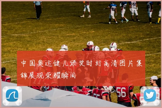 中国奥运健儿颁奖时刻高清图片集锦展现荣耀瞬间