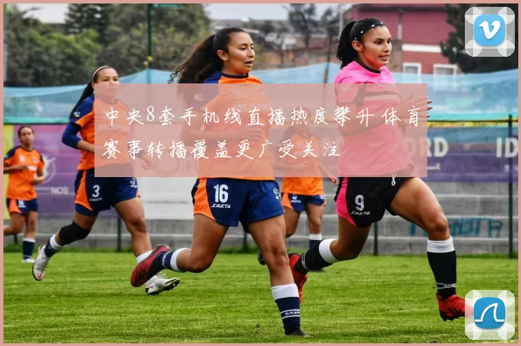 中央8套手机线直播热度攀升 体育赛事转播覆盖更广受关注