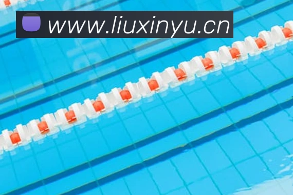 mksports在线登录入口服务体系